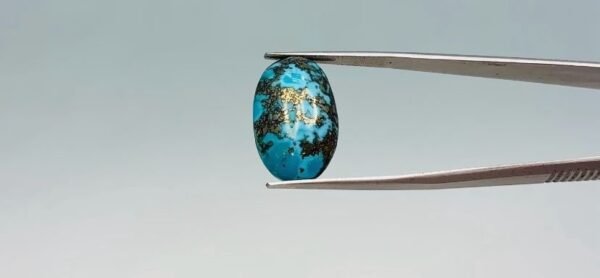 Turquoise - 19.3 Carat