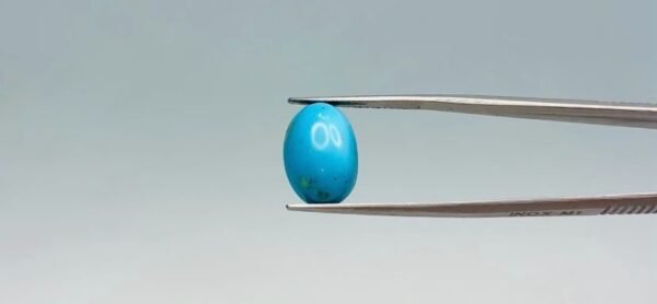 Turquoise - 7.8 Carat