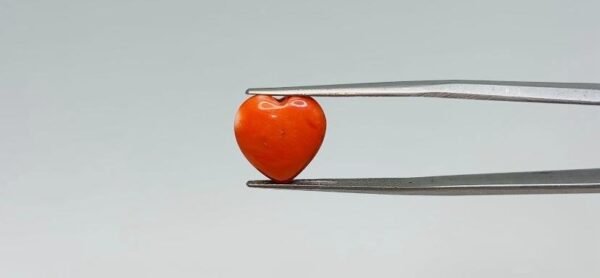 Red Coral - 5 Carat