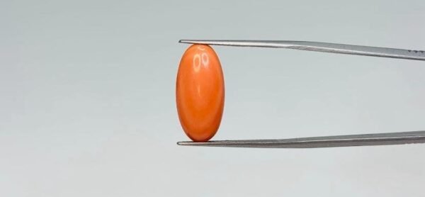 Red Coral - 7 Carat