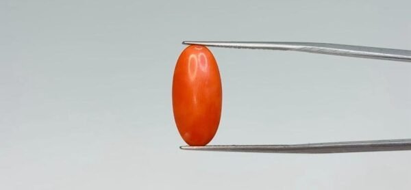 Red Coral - 5.45 Carat