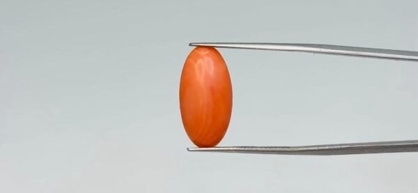 Red Coral - 6.9 Carat