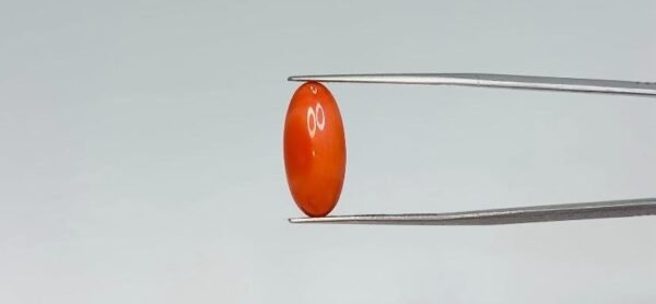 Red Coral - 4.6 Carat