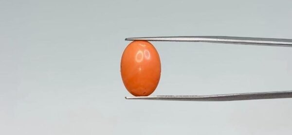 Red Coral - 5.95 Carat