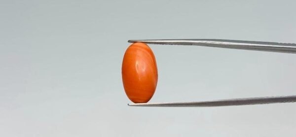 Red Coral - 7.6 Carat