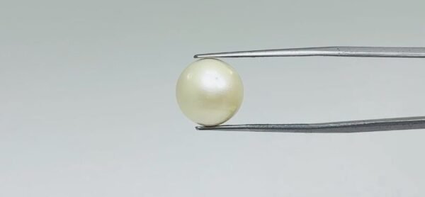 Pearl - 11.9 Carat