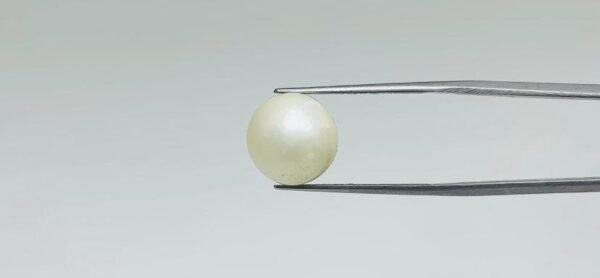 Pearl - 12.2 Carat