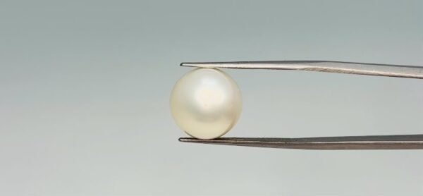Pearl - 16 Carat
