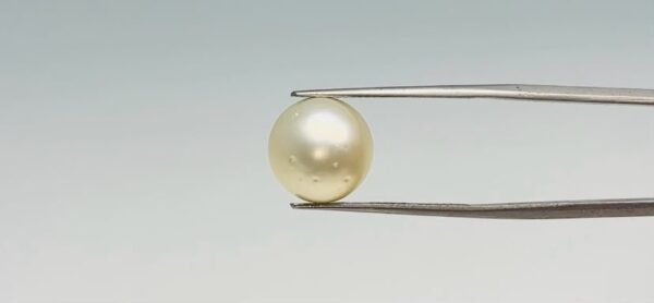 Pearl - 11.5 Carat