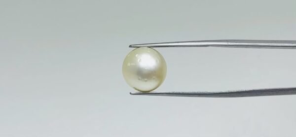 Pearl - 10.8 Carat