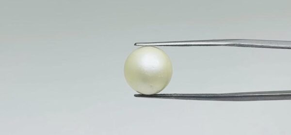 Pearl - 11.75 Carat