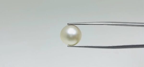 Pearl - 11.4 Carat