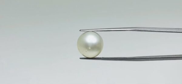 Pearl - 10.95 Carat
