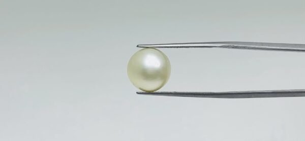 Pearl - 10.95 Carat