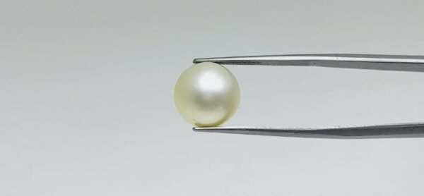 Pearl - 11.1 Carat