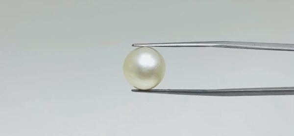 Pearl - 11.1 Carat