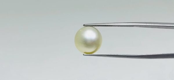 Pearl - 10.35 Carat