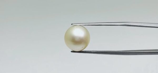 Pearl - 11 Carat