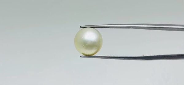 Pearl - 11.4 Carat