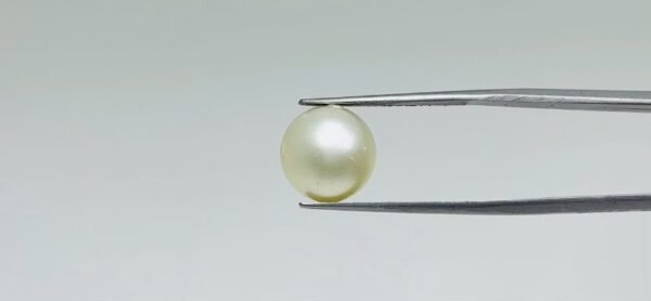 Pearl - 10.3 Carat