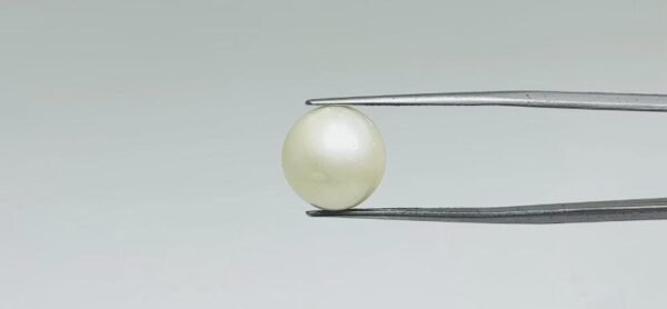 Pearl - 12.4 Carat