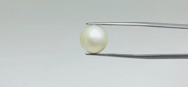 Pearl - 12.05 Carat