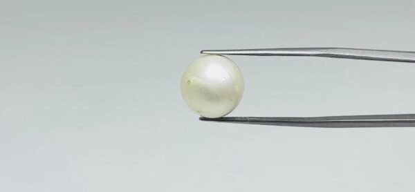 Pearl - 13.65 Carat