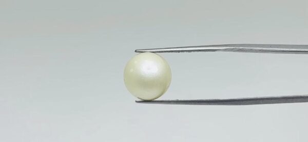Pearl - 11.55 Carat
